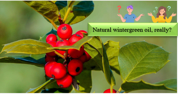 Óleo Wintergreen - Como os ingredientes sintéticos podem ser identificados e testados quanto à naturalidade?